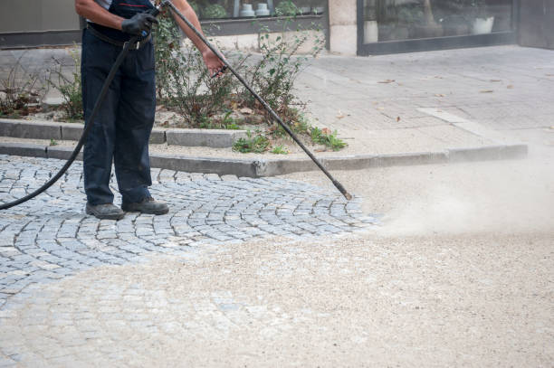 Best Driveway Pressure Washing  in Mobile, AL